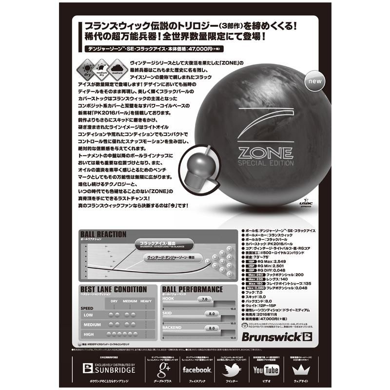 デンジャーゾーン・SE・ブラックアイス［ブランズウィック］特価