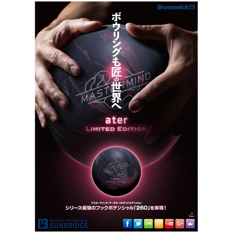 プラグ済み　ブランズウィック　マスターマインドアーテル　15ポンド プラグ済み ブランズウィック マスターマインドアーテル 15