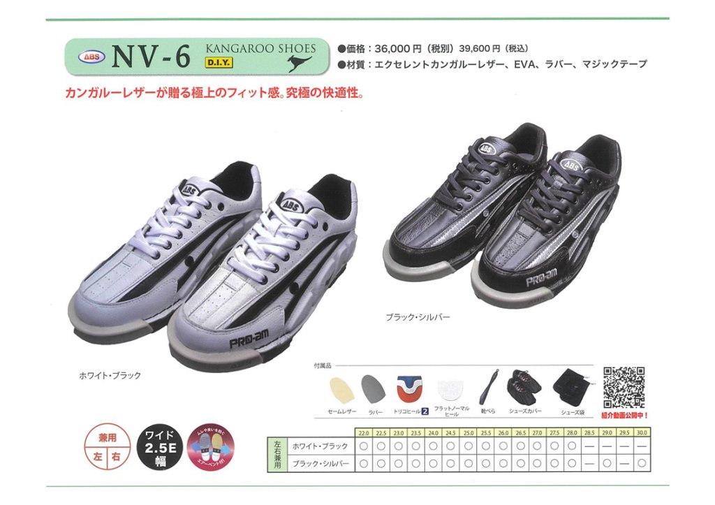 ABS NV-6（ブラック・シルバー） ［ABS］ 特価25,700円(税込