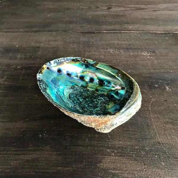 貝、abalone shell、アバロニシェル、アバロンシェル、アワビ