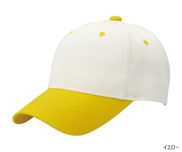 未使用　スタンピンアップ　カミングホーム＆ホームトゥゲザーダイ 未使用 スタンピンアップ カミングホーム＆ホームトゥゲザーダイ