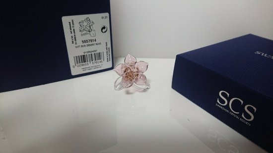 5426805 Swarovski Crystal Flowers Desert Pink Cactus