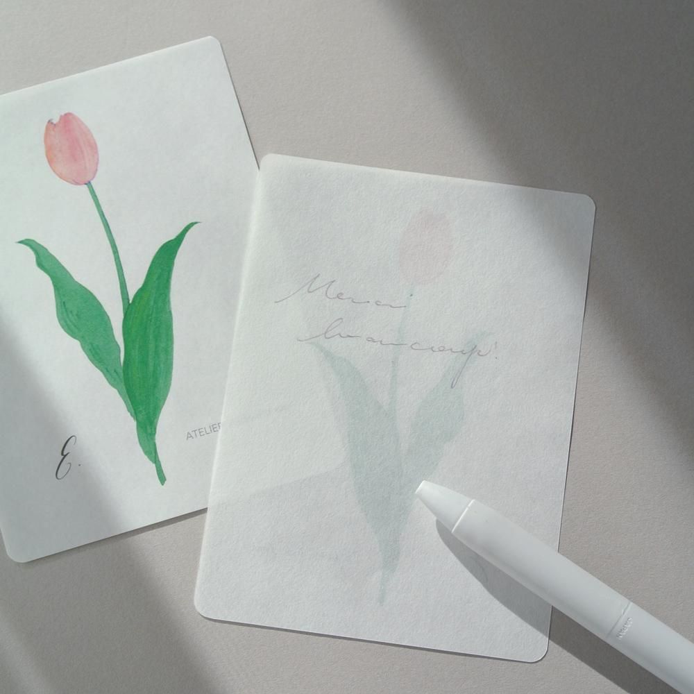 ボタニカルペーパー チューリップ - アトリエ アンクルダンクル
