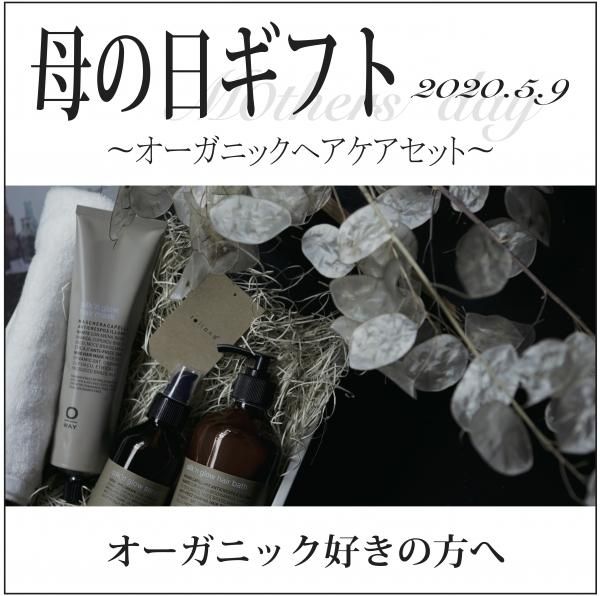 GIFT - [ carreST. ヘアケアギフト/トキオ インカラミ・OWAY GIFT - [ carreST. ヘアケアギフト/トキオ インカラミ・OWAY