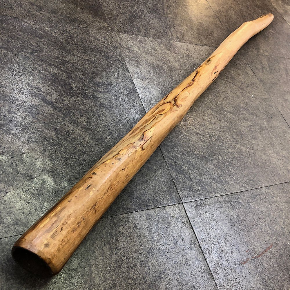 イダキ ディジュリドゥ Yidaki didgeridoo Ngongu 日本大特価祭