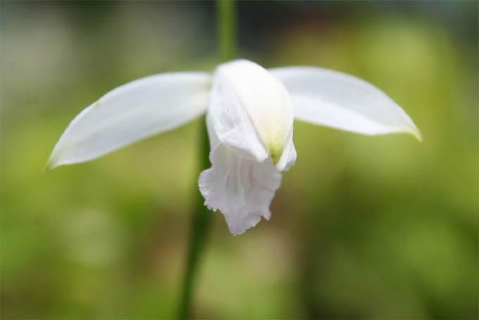 140099405.jpg?cmsp_timestamp=