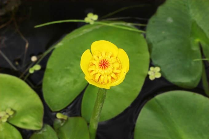 143300269.jpg?cmsp_timestamp=