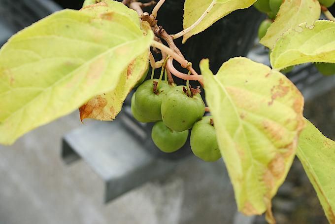 169334979.jpg?cmsp_timestamp=