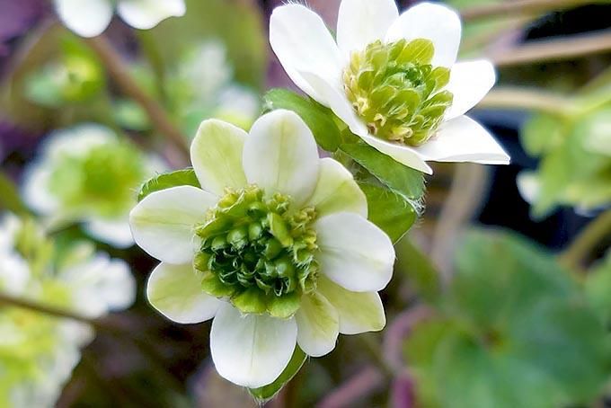 179280972.jpg?cmsp_timestamp=