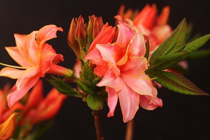 179317098.jpg?cmsp_timestamp=