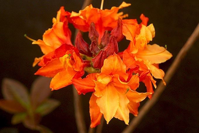 179317100.jpg?cmsp_timestamp=