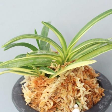 187633622.jpg?cmsp_timestamp=