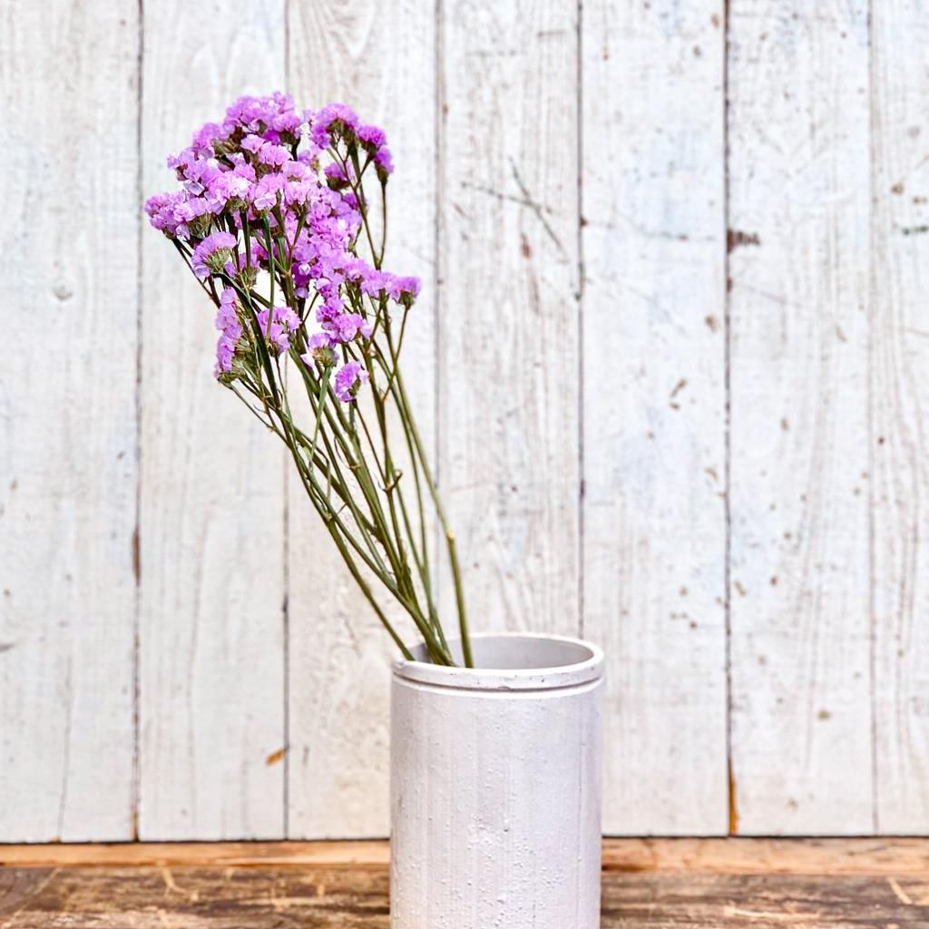 スターチス 淡パープル - ドライフラワー通販 エフスリー