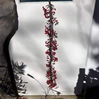 <img class='new_mark_img1' src='https://img.shop-pro.jp/img/new/icons5.gif' style='border:none;display:inline;margin:0px;padding:0px;width:auto;' />󥭥饤