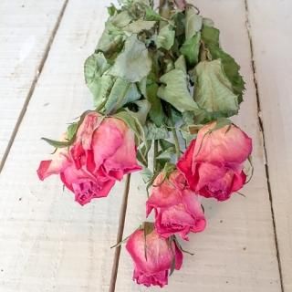 ドライフラワー通販 花 ドライフラワー通販 花