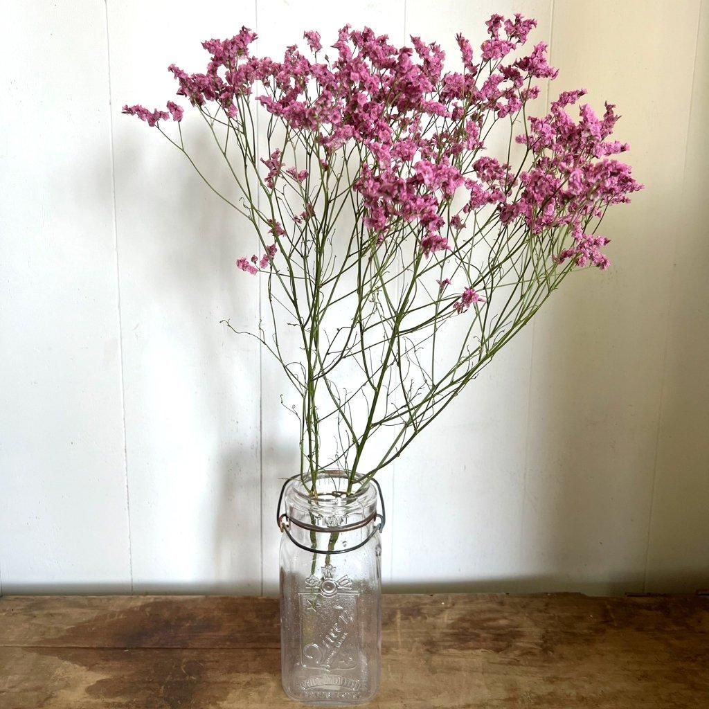 サマーチェリー ピンク | 美しいドライフラワー - ドライフラワー通販