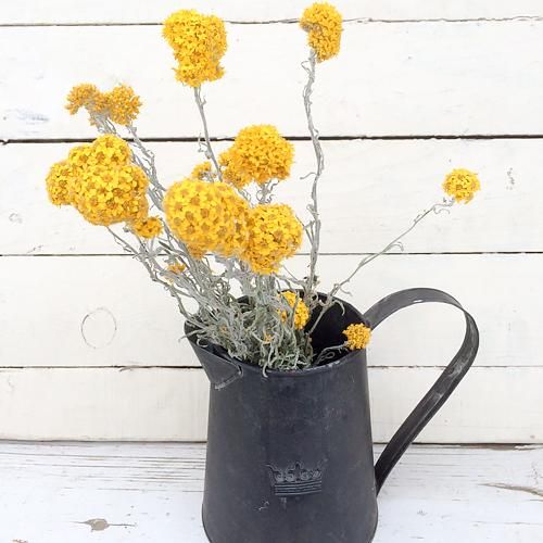 【専用】イエローシェルお花、ローゼンジ 専用】イエローシェルお花、ローゼンジ 専用】イエローシェルお花