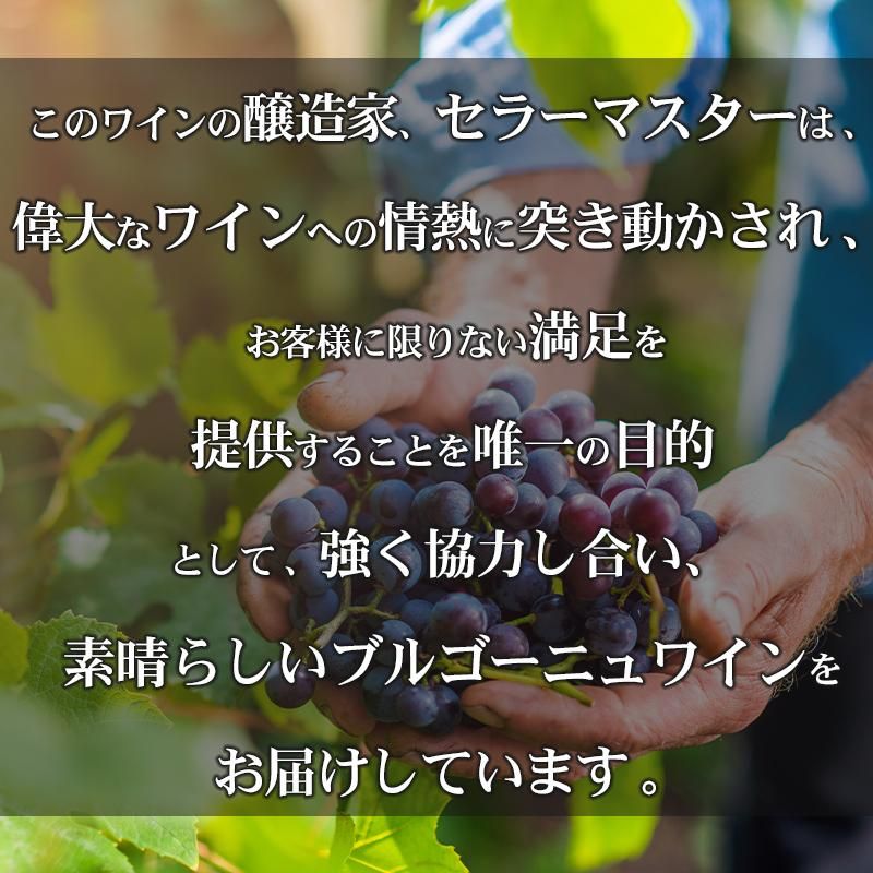 ブルゴーニュ　4本セット 銘柄非公開で実現！4万円相当の厳選ブルゴーニュワイン 赤2種 4