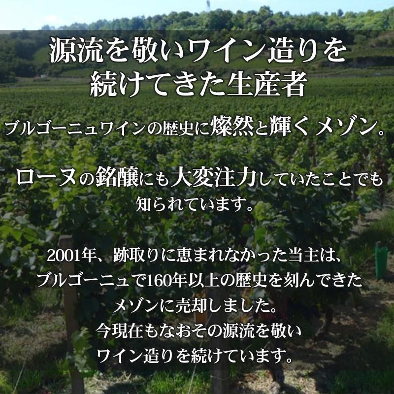銘柄非公開で実現！4万円相当の厳選ブルゴーニュワイン 赤2種 4