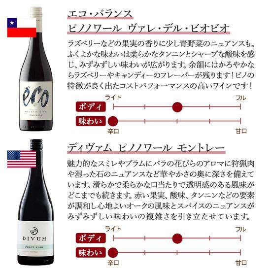 5_エコバランス・ディヴァム