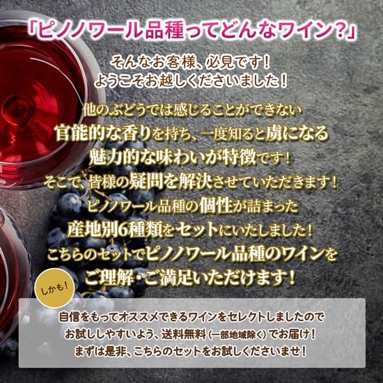 2_ピノノワールって?