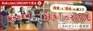[ŷDREAM]磻󤬹æ顪ؤĩֹפΤ (shiawasewine-c)