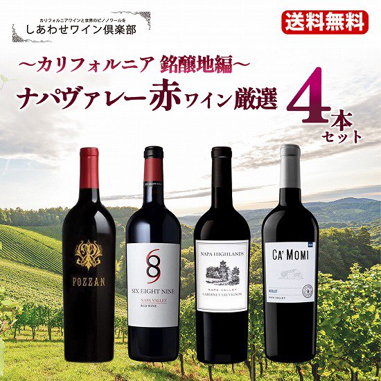 ワイン 4本セット アメリカ NAPA 日本 登美の丘ルピッチナパ - halcyonit.com