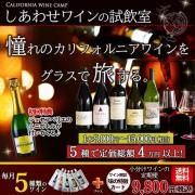 ھʬ磻ءۤ碌磻λ ե˥磻󥭥סؤΥơ Υ磻5100ml