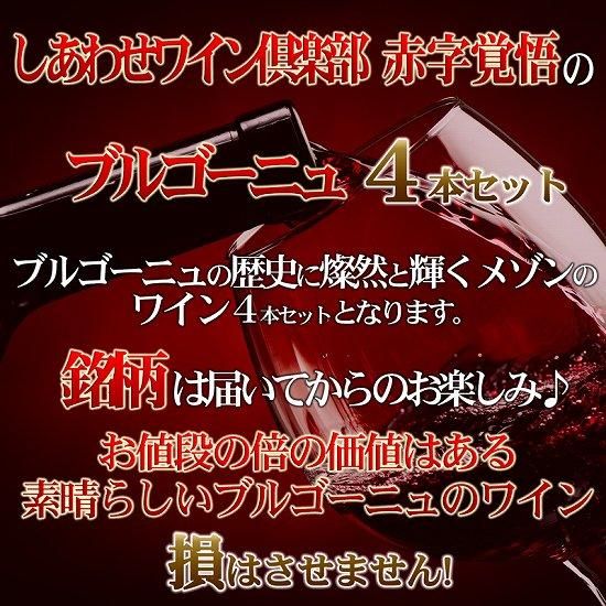 【最終特価】2020VT ブルゴーニュ 希少一級畑 2本セット ブルゴーニュ】コルトン・特級畑・クロ・デ・コルトン・2020・フェヴレ
