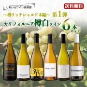 1 ̵ۥե˥î磻6ܥåȡîåɥԡ wine