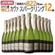 ̵ۡ12ܤޤȤ㤤ۡʰʡ 󡦥٥  ֥å	 å ɸ ܳʥѥˡ CAVA (b)