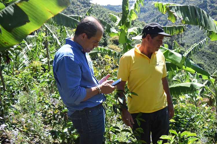 COSTA RICA/PUENTE TARRAZU MAICROMILL EL SUR BOURBON NATURAL（コスタリカ プエンテ・タラスマイクロミル エル・スル農園 ブルボン種 ナチュラルプロセス）