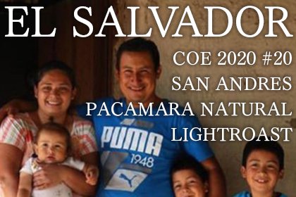 EL SALVADOR COE 2020 #20 / SAN ANDRES PACAMARA NATURAL LIGHTROAST（エルサルバドル COE 2020 20位 サン・アンドレス農園 パカマラ種 ナチュラル 浅煎り）