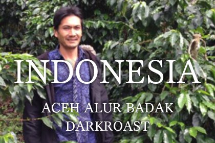 INDONESIA / ACEH ALUR BADAK DARKROAST（マンデリン マンデリン アチェ アルール バダ 深煎り）