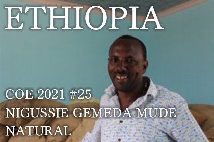 ETHIOPIA COE 2021 #25/NIGUSSIE GEMEDA MUDE NATURAL（エチオピア COE 2021 25位 ニグセ・ゲメダ・ムデ ナチュラル）