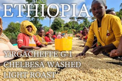 ETHIOPIA YIRGACHEFFE G-1/CHELBESA WASHED LIGHT ROAST（エチオピア イルガチェフェG-1　チェルベサ　ウォッシュド　ナチュラル）