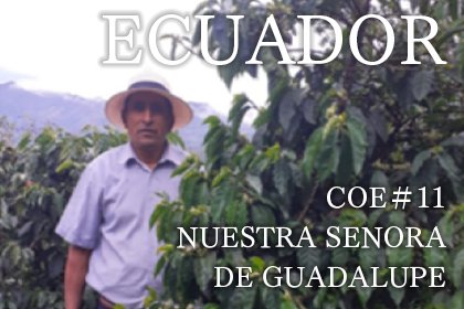 ECUADOR COE＃11/NUESTRA SENORA DE GUADALUPE（エクアドル COE 2021 11位　ヌエストラ・セニョーラ・デ・グアダルーペ農園　浅煎り）