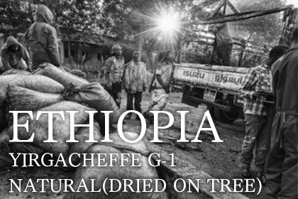 ETHIOPIA/YIRGACHEFFE G-1 NATURAL(DRIED ON TREE)（エチオピア モプラコ社　エチオピア原種　ナチュラル(ドライオンツリー)　浅煎り）