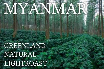 MYANMAR/GREENLAND NATURAL LIGHTROASTʡڥߥޡۥ꡼ࡡSL34