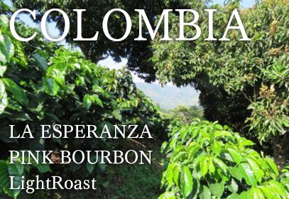 COLOMBIA/LA ESPERANZA PINK BOURBON LightRoast（コロンビア　ラ・エスペランサ農園　ピンクブルボン　ウォッシュド　浅煎り）