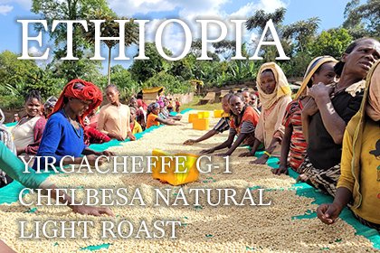 ETHIOPIA YIRGACHEFFE G-1/CHELBESA NATURAL LIGHT ROAST（エチオピア イルガチェフェ G-1 チェルベサ村 ナチュラル 浅煎り）