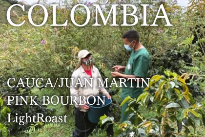 COLOMBIA/CAUCA/JUAN MARTIN/ PINK BOURBON LightRoastʥӥ ե󡦥ޥƥࡡԥ󥯥֥ܥ󡡥å 