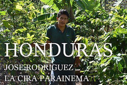 HONDURAS / JOSE RODRIGUEZ / LA CIRA PARAINEMAʥۥ󥸥饹 ۥɥꥲ ѥ饤ͥ 