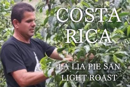 COSTA RICA / LA LIA PIE SAN LIGHT ROASTʥꥫ 顦ꥢ ԥ 