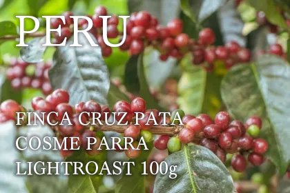 PERU/FINCA CRUZ PATA/COSME PARRA/ LIGHTROAST 100gʥ륹 ѥ ᡦѥ ֥ܥ  100g