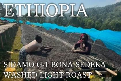 ETHIOPIA SIDAMO G-1 BONA SEDEKA WASHED LIGHT ROASTʥԥ ⡦ڥ G-1 ܥʥǥ å 