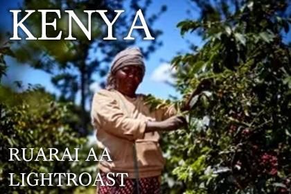 KENYA / RUARAI AA LIGHTROASTʥ˥ 륢饤եȥ꡼ AA 