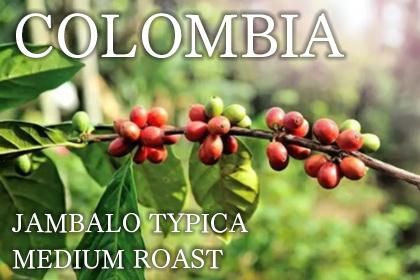 COLOMBIA JAMBALO TYPICA MEDIUM ROASTʥӥ ϥХ ƥԥ 