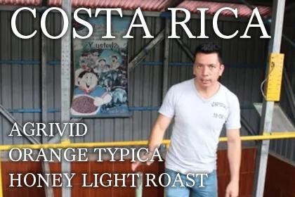 COSTA RICA AGRIVID ORANGE TYPICA HONEY LIGHT ROAST 100gʥꥫ ӥåȡޥߥ 󥸥ƥԥ ϥˡץ 