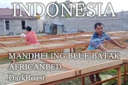 INDONESIA / MANDHELING BLUE BATAK AFRICANBED DarkRoastʥɥͥޥǥ ֥롼Хå եꥫ٥å 